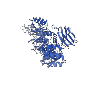 32571_7wlg_C_v1-1
Cryo-EM structure of GH31 alpha-1,3-glucosidase from Lactococcus lactis subsp. cremoris