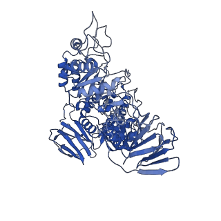 32571_7wlg_D_v1-1
Cryo-EM structure of GH31 alpha-1,3-glucosidase from Lactococcus lactis subsp. cremoris