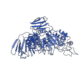 32571_7wlg_E_v1-1
Cryo-EM structure of GH31 alpha-1,3-glucosidase from Lactococcus lactis subsp. cremoris