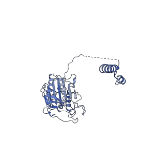 32582_7wld_K_v1-2
Cryo-EM structure of the human glycosylphosphatidylinositol transamidase complex at 2.53 Angstrom resolution