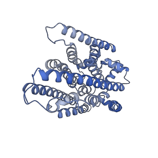 32582_7wld_U_v1-2
Cryo-EM structure of the human glycosylphosphatidylinositol transamidase complex at 2.53 Angstrom resolution