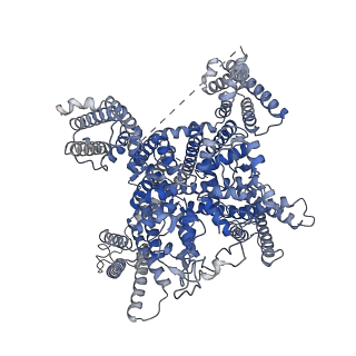 32584_7wli_A_v1-1
CryoEM structure of human low-voltage activated T-type calcium channel CaV3.3 (apo)