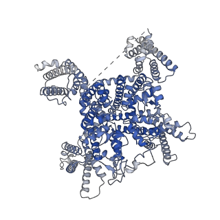 32585_7wlj_A_v1-1
CryoEM structure of human low-voltage activated T-type calcium channel Cav3.3 in complex with mibefradil (MIB)