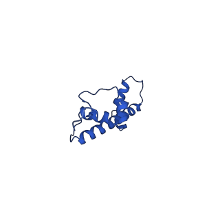 32591_7wlr_C_v1-1
Cryo-EM structure of the nucleosome containing Komagataella pastoris histones