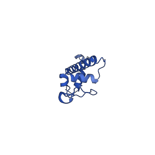 32591_7wlr_G_v1-1
Cryo-EM structure of the nucleosome containing Komagataella pastoris histones