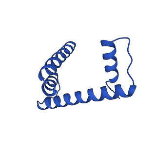 32591_7wlr_H_v1-1
Cryo-EM structure of the nucleosome containing Komagataella pastoris histones
