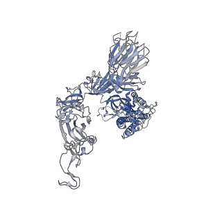 32594_7wly_A_v1-2
Cryo-EM structure of the Omicron S in complex with 35B5 Fab(1 down- and 2 up RBDs)
