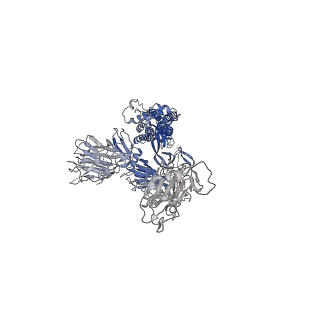 32594_7wly_C_v1-2
Cryo-EM structure of the Omicron S in complex with 35B5 Fab(1 down- and 2 up RBDs)