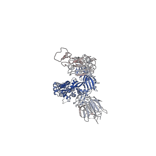 32595_7wlz_B_v1-2
Cryo-EM structure of the Omicron S in complex with 35B5 Fab(1 down-, 1 up- and 1 invisible RBDs)
