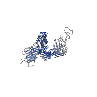 37626_8wlo_A_v1-0
Cryo-EM structure of SARS-CoV-2 prototype spike protein in complex with hippopotamus ACE2