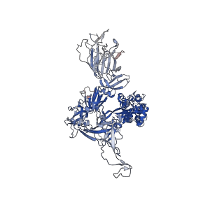 37626_8wlo_C_v1-0
Cryo-EM structure of SARS-CoV-2 prototype spike protein in complex with hippopotamus ACE2