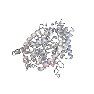 37626_8wlo_E_v1-0
Cryo-EM structure of SARS-CoV-2 prototype spike protein in complex with hippopotamus ACE2