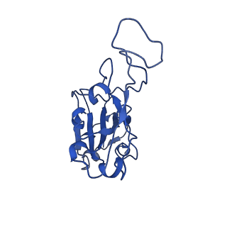 37629_8wlr_B_v1-0
Cryo-EM structure of SARS-CoV-2 prototype spike protein receptor-binding domain in complex with hippopotamus ACE2