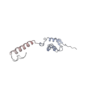 8859_5wlc_L3_v1-5
The complete structure of the small subunit processome