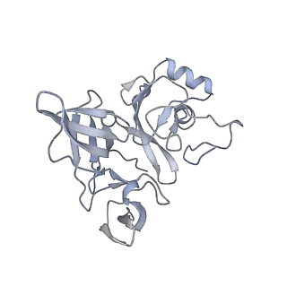 8859_5wlc_L4_v1-5
The complete structure of the small subunit processome