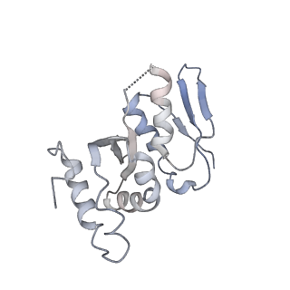 8859_5wlc_L7_v1-5
The complete structure of the small subunit processome