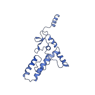 8859_5wlc_L9_v1-5
The complete structure of the small subunit processome