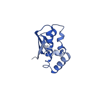 8859_5wlc_LC_v1-5
The complete structure of the small subunit processome