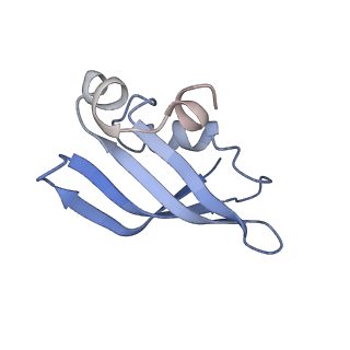 8859_5wlc_LF_v1-5
The complete structure of the small subunit processome