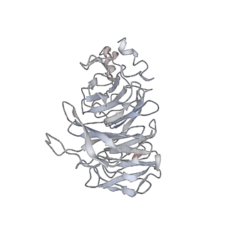 8859_5wlc_LV_v1-5
The complete structure of the small subunit processome