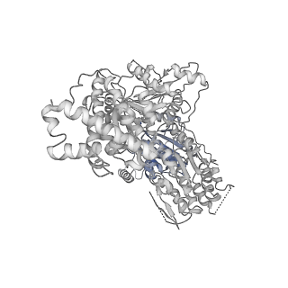 8859_5wlc_LX_v1-5
The complete structure of the small subunit processome