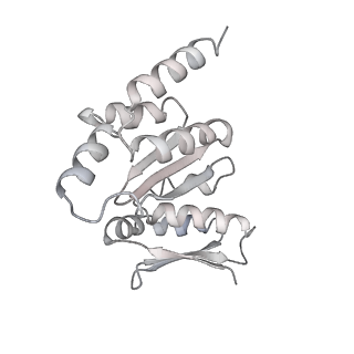 8859_5wlc_NK_v1-5
The complete structure of the small subunit processome