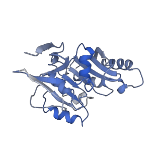 8859_5wlc_SD_v1-5
The complete structure of the small subunit processome