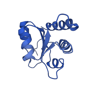 8859_5wlc_SE_v1-5
The complete structure of the small subunit processome