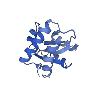 8859_5wlc_SF_v1-5
The complete structure of the small subunit processome