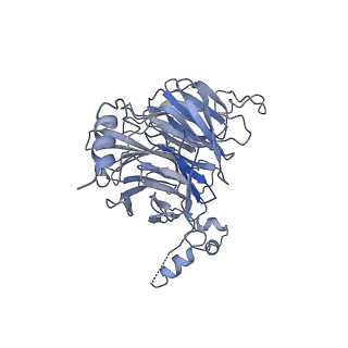 8859_5wlc_SG_v1-5
The complete structure of the small subunit processome