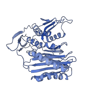 8859_5wlc_SH_v1-5
The complete structure of the small subunit processome