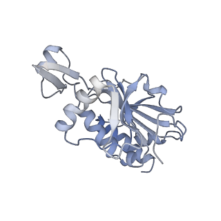 8859_5wlc_SJ_v1-5
The complete structure of the small subunit processome