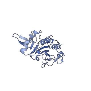 8859_5wlc_SK_v1-5
The complete structure of the small subunit processome