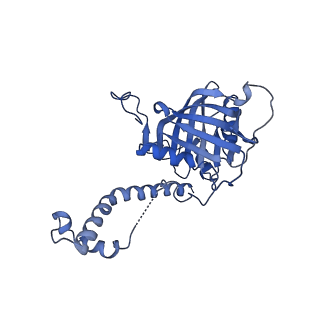 8859_5wlc_SM_v1-5
The complete structure of the small subunit processome