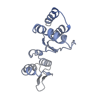 8859_5wlc_SO_v1-5
The complete structure of the small subunit processome