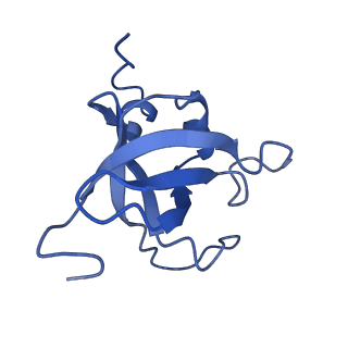 8859_5wlc_SR_v1-5
The complete structure of the small subunit processome