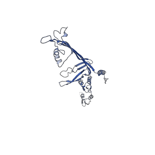 8860_5wln_C_v1-4
Cryo-EM structure of the T2SS secretin XcpQ from Pseudomonas aeruginosa