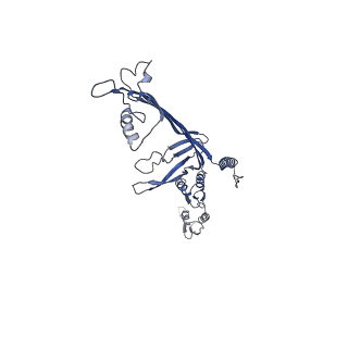 8860_5wln_C_v1-5
Cryo-EM structure of the T2SS secretin XcpQ from Pseudomonas aeruginosa