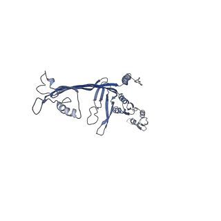 8860_5wln_E_v1-5
Cryo-EM structure of the T2SS secretin XcpQ from Pseudomonas aeruginosa