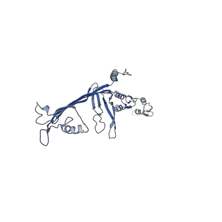 8860_5wln_F_v1-5
Cryo-EM structure of the T2SS secretin XcpQ from Pseudomonas aeruginosa