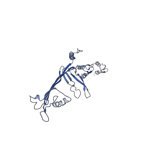 8860_5wln_G_v1-4
Cryo-EM structure of the T2SS secretin XcpQ from Pseudomonas aeruginosa