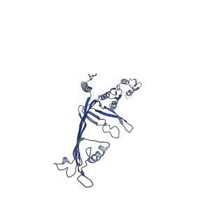 8860_5wln_H_v1-5
Cryo-EM structure of the T2SS secretin XcpQ from Pseudomonas aeruginosa