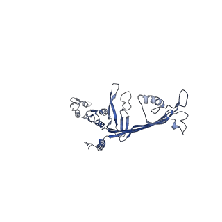 8860_5wln_M_v1-5
Cryo-EM structure of the T2SS secretin XcpQ from Pseudomonas aeruginosa