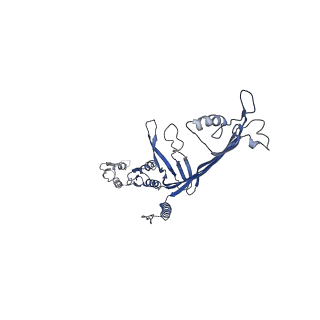 8860_5wln_N_v1-4
Cryo-EM structure of the T2SS secretin XcpQ from Pseudomonas aeruginosa