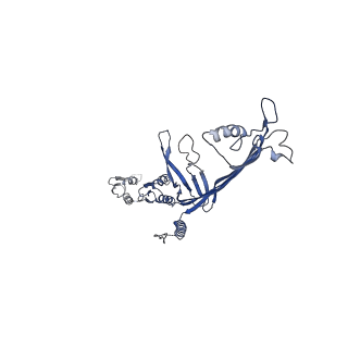 8860_5wln_N_v1-5
Cryo-EM structure of the T2SS secretin XcpQ from Pseudomonas aeruginosa