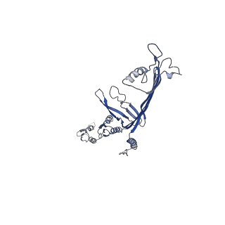 8860_5wln_O_v1-4
Cryo-EM structure of the T2SS secretin XcpQ from Pseudomonas aeruginosa