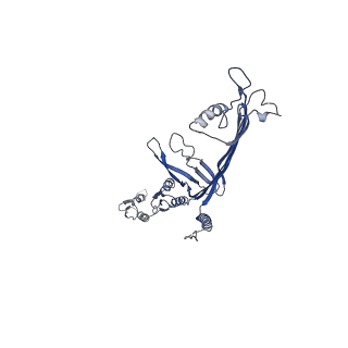 8860_5wln_O_v1-5
Cryo-EM structure of the T2SS secretin XcpQ from Pseudomonas aeruginosa