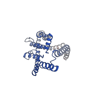 21846_6wm0_A_v1-2
TASK2 in MSP1D1 lipid nanodisc at pH 8.5