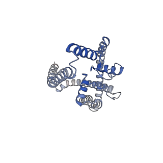 21846_6wm0_B_v1-2
TASK2 in MSP1D1 lipid nanodisc at pH 8.5