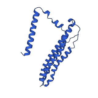 21847_6wm2_0_v1-2
Human V-ATPase in state 1 with SidK and ADP